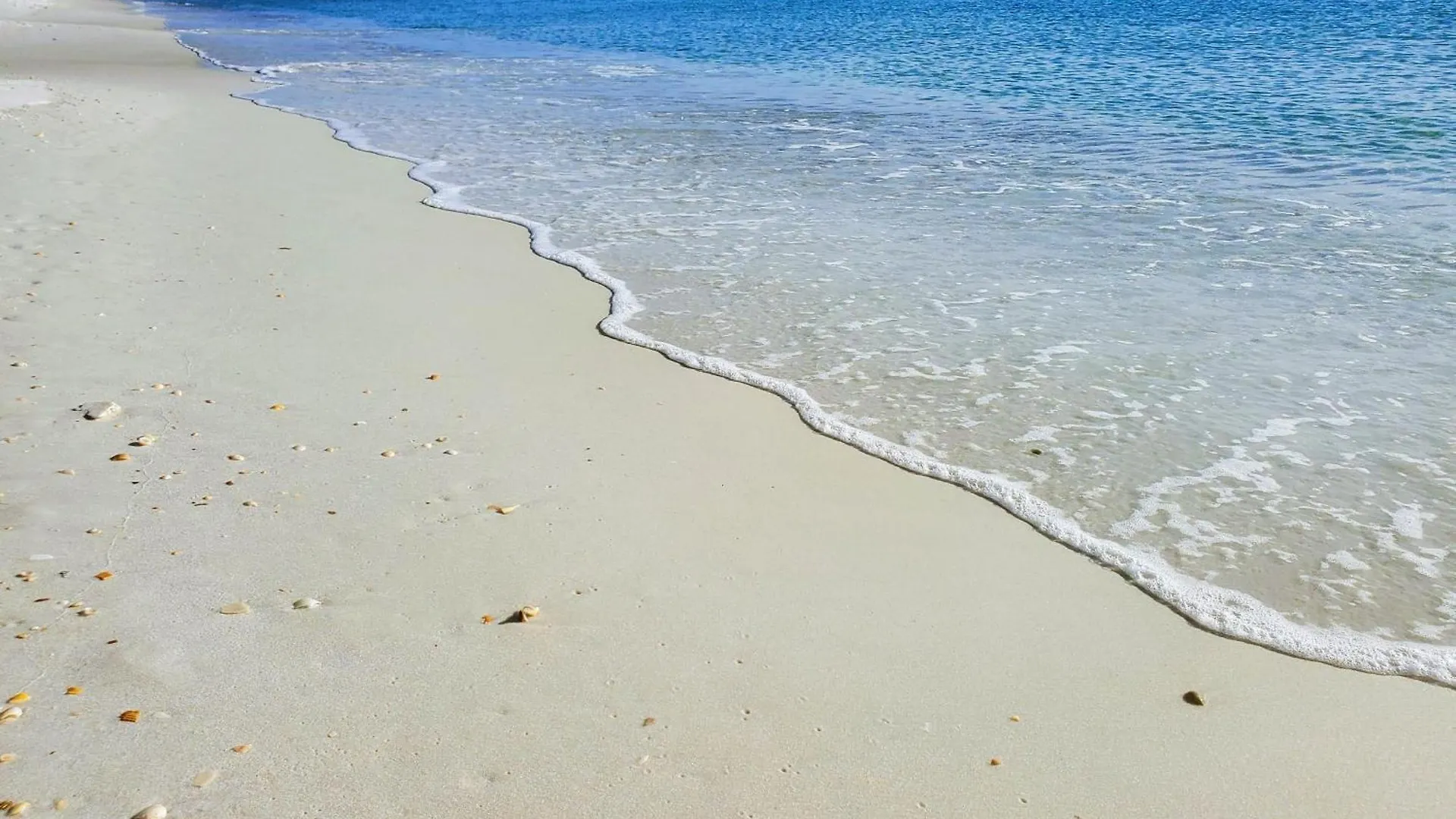 Dunes Of Panama Lower Grand Lagoon